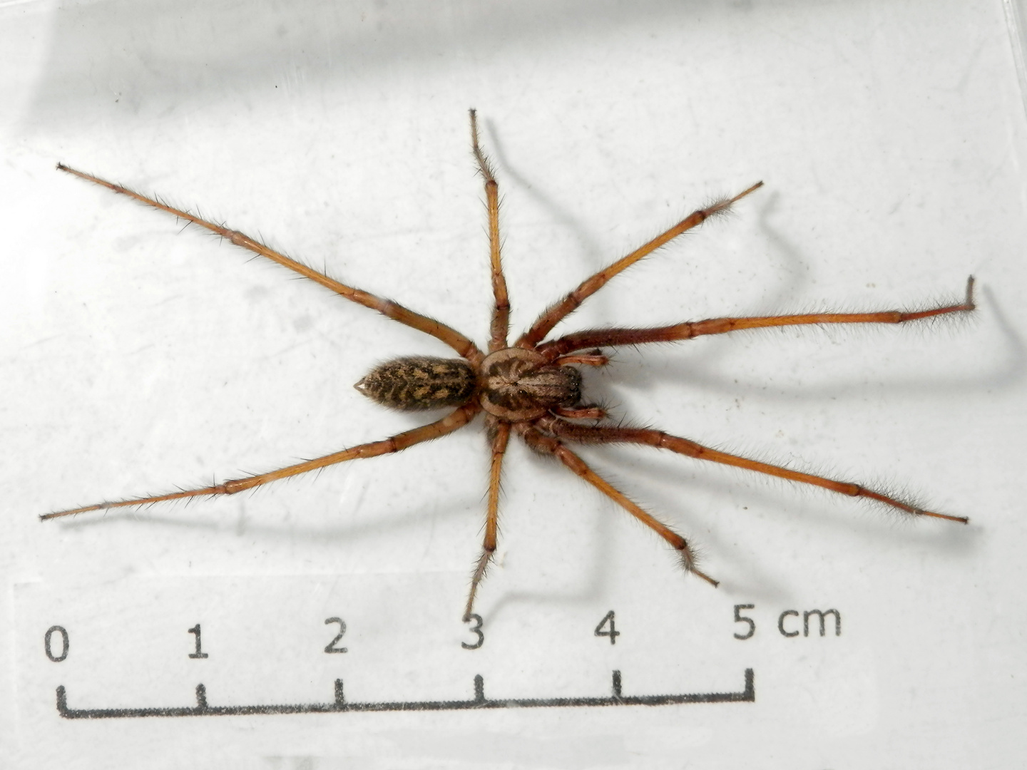 Quelle Fotocommunity