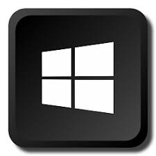 Windows 11